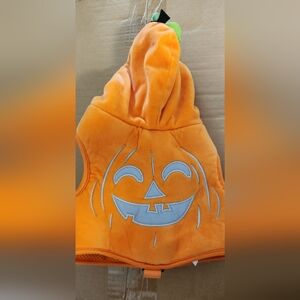 Orange Pumpkin Kids Costume